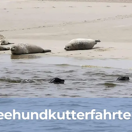 Ferienhaus Oll Smee 9 - Dein Nordsee Urlaub