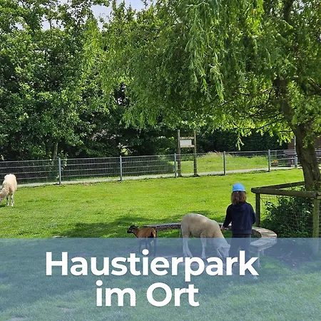 度假居 Oll Smee 9 - Huus Twee Mit Eingezaeunten Garten, Weitblick, Kamin Und Strandkorb