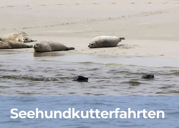 بيت للعطل Oll Smee 9 - Huus Twee Mit Eingezaeunten Garten, Weitblick, Kamin Und Strandkorb