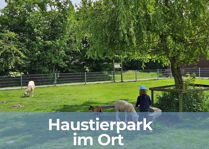 Σπίτι διακοπών Oll Smee 9 - Huus Twee Mit Eingezaeunten Garten, Weitblick, Kamin Und Strandkorb